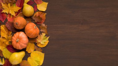 Taze sonbahar yaprakları ve küçük balkabakları.