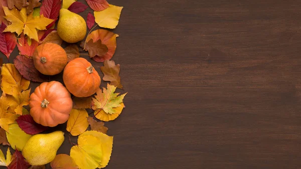 Taze sonbahar yaprakları ve küçük balkabakları.