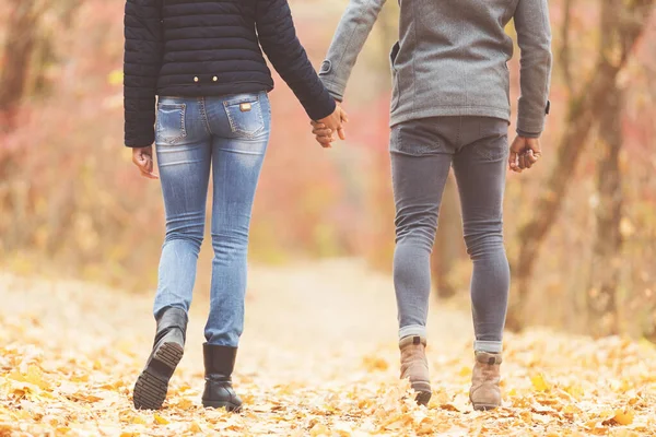 Pareja enamorada cogida de la mano, caminando en el parque de otoño —  Fotos de Stock