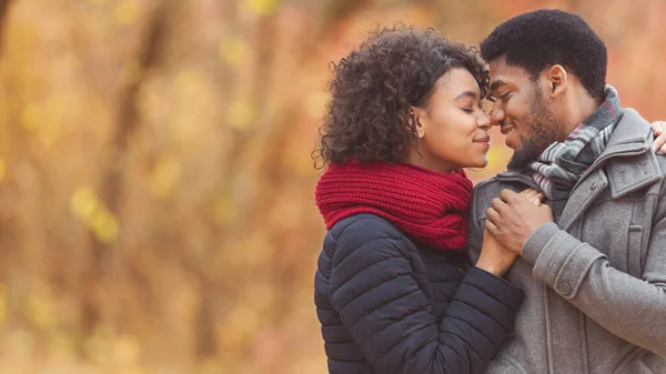 爱情的非洲裔美国夫妇在秋天的公园分享爱情的时刻 — 图库照片