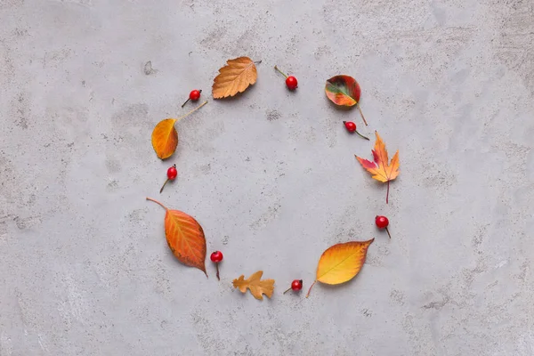 Jesienna ramka jasnokolorowych liści na szarym tle — Zdjęcie stockowe