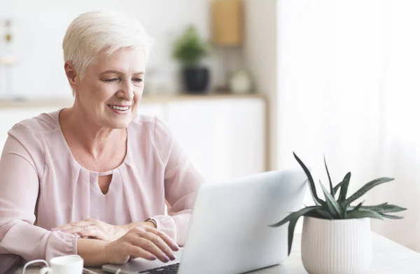 Uśmiechnięta starsza biznesmenka przeglądająca laptop — Zdjęcie stockowe