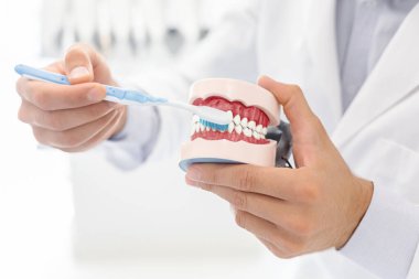 Doktor çene modeli kullanarak dişleri nasıl fırçalayacağını gösteriyor