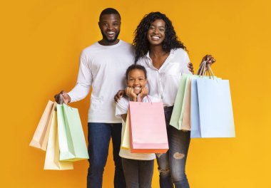 Afro-Amerikan ailesinin alışveriş torbaları taşıyan mutlu portresi.