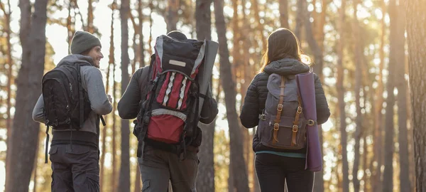 Groep vrienden met rugzakken op wandeltocht in het bos — Stockfoto