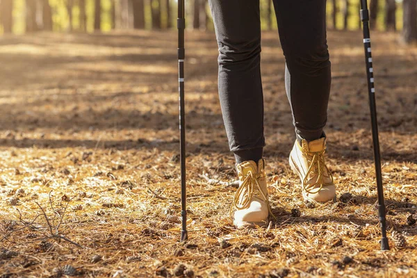 Oříznutý obrázek ženy pěší turistiku s trekkingovými tyčemi v lese — Stock fotografie