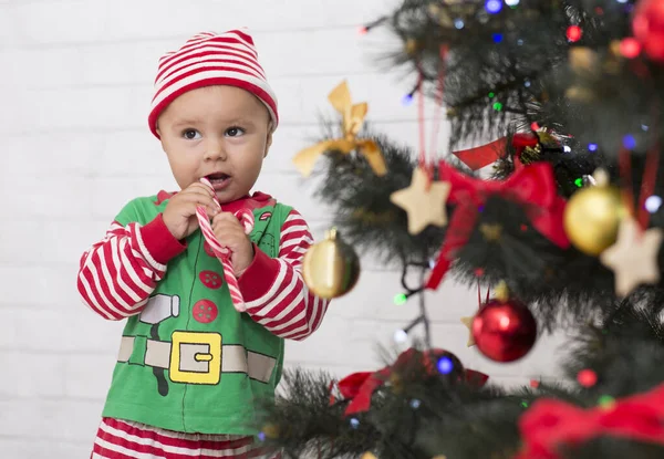 CAdorável bebê elfo comendo pirulito perto da árvore de Natal — Fotografia de Stock