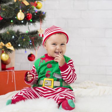 Tatlı bebek elf Noel ağacının altında lolipopun tadını çıkarıyor.