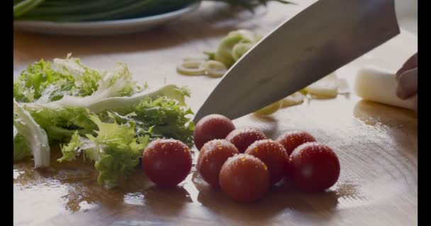 Kvinna som bereder vegetarisk sallad, skär färska grönsaker — Stockvideo