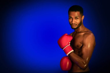 Profesyonel Siyah Boksör Mavi Stüdyo Arkaplanda Eldiven Giyiyor