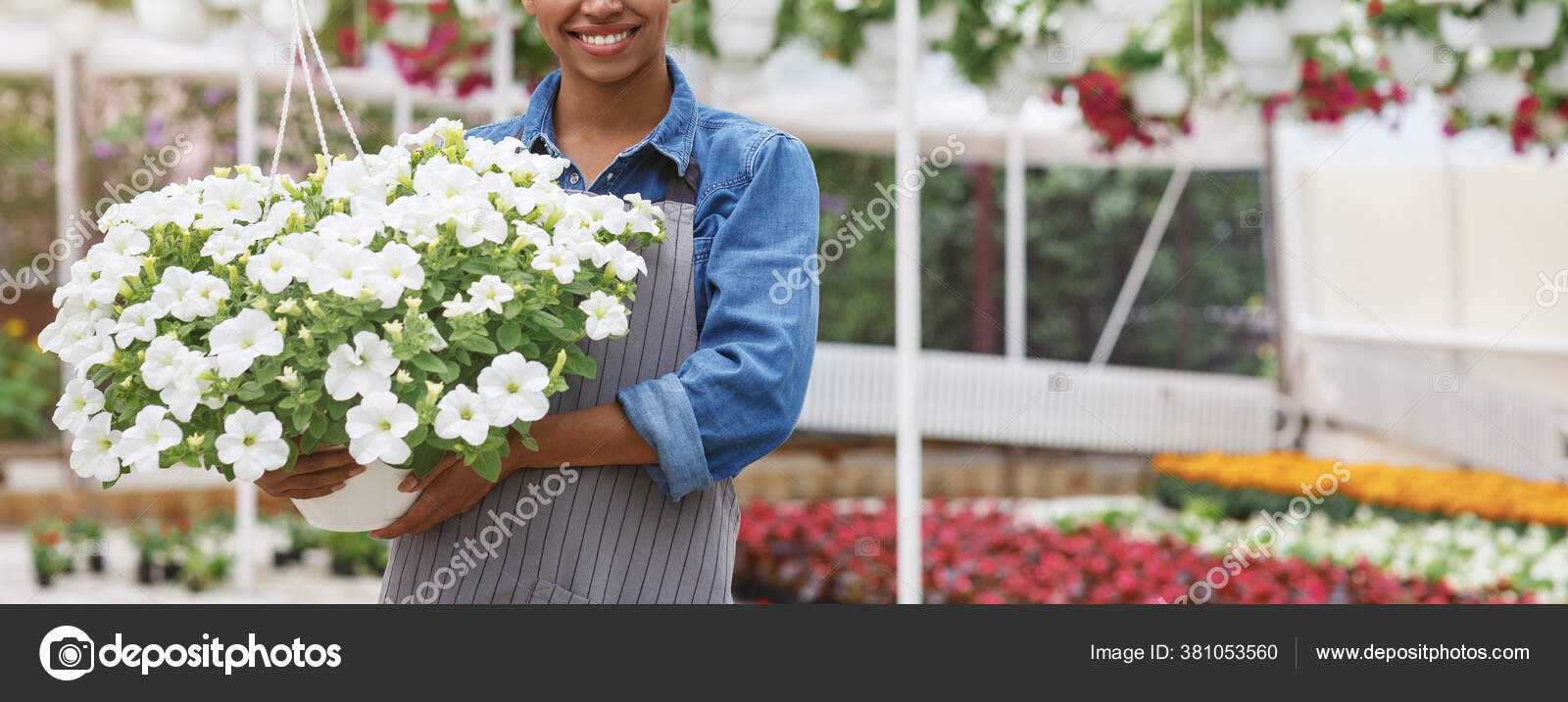 Happy Woman Planting Flowers At Her Backyard Stock Photo