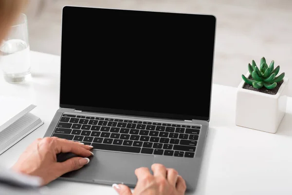 Conferência e gestão online. Mãos femininas no laptop com tela em branco — Fotografia de Stock