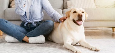 Evde köpeğiyle güzel bir genç kadının portresi.