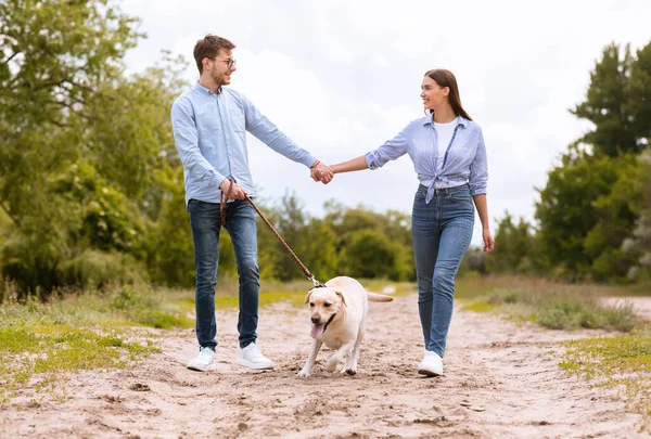 Portræt af glade unge par gå med deres labrador - Stock-foto