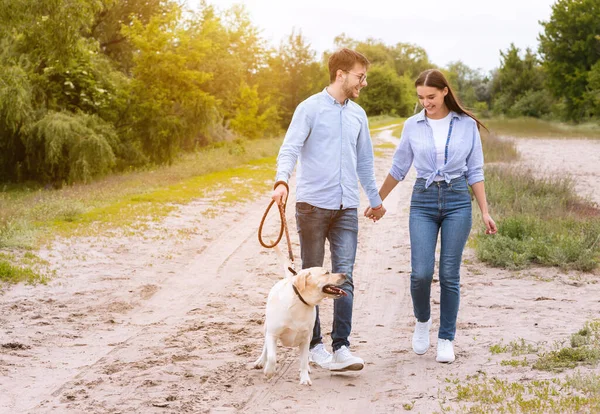 Tatlı bir çift ve labrador kırsalda birlikte yürüyorlar.