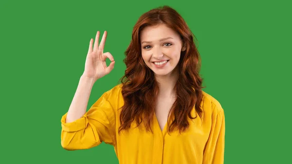 Millennial Girl Gesturing Okay Posing On Green Studio Background, Panorama — Stock fotografie