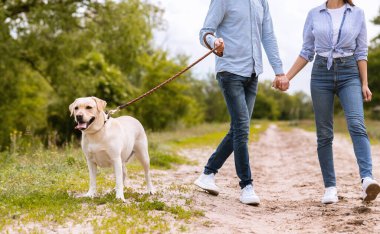 Çift ve av köpekleri kırsalda birlikte yürüyorlar.