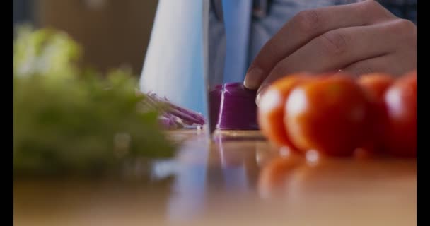 Mujer chef rebanando cebolla roja para el almuerzo vegetariano — Vídeos de Stock