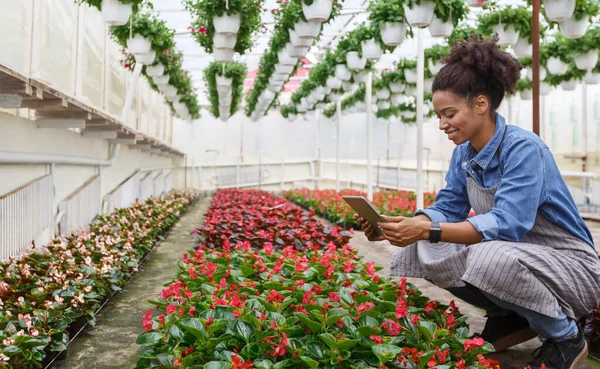 Smart technology hydroponics and work in greenhouse. Woman in smartwatch sits near flowers in orangery — Stock Photo, Image