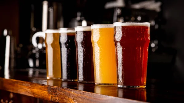 Muitas variedades de cerveja artesanal. Copos de vidro mistos com cerveja, cerveja e bebida não filtrada no bar — Fotografia de Stock