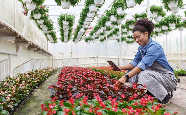 Smiling african american girl works in greenhouse with digital tablet and flowers