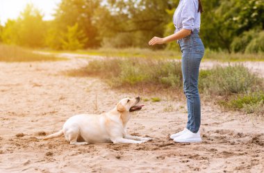 Kız itaatkar av köpeğine emir veriyor.