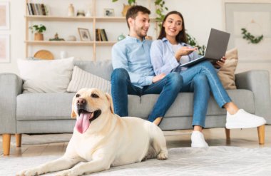 Genç mutlu eşler kanepede oturuyor. Polis ve köpeklerle.