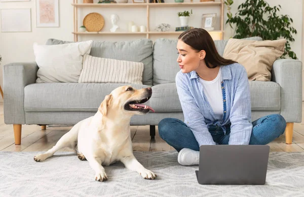 Jovem em casa com laptop e um cachorro — Fotografia de Stock