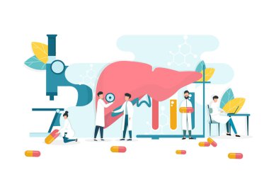 Hepatit A, B, C, tedavi. Hasta karaciğerini tedavi eden doktorların vektör çizimi