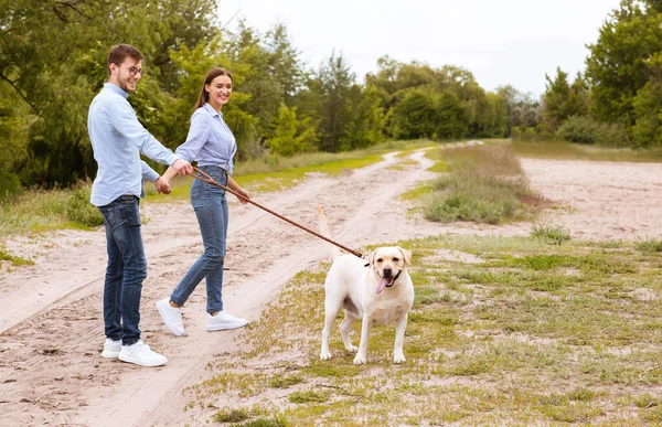 Heyecanlı bir çift ve kırsalda yürüyen bir av köpeği. — Stok fotoğraf