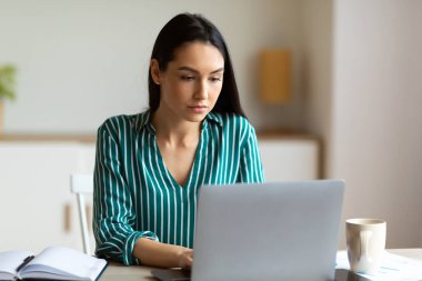 Ofis Müdürü Kız laptopta çalışıyor. İş yerinde oturuyor.