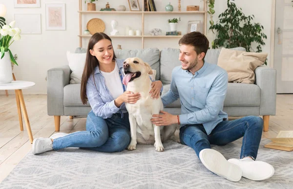 Feliz pareja con perro sentado en la sala de estar — Foto de Stock