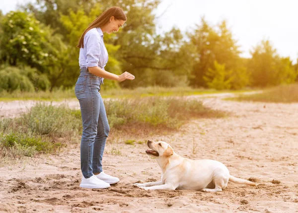 Kvinna som ger order till sin lydiga labrador — Stockfoto