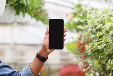 Elinde akıllı el kamerası olan Afrikalı Amerikalı bir kız kamerada arka planda çiçeklerin olduğu boş ekranlı bir akıllı telefon gösteriyor.