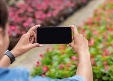 Çiçek açan bahçe ve modern aletler. Afrikalı Amerikalı kız elinde boş ekranlı akıllı telefon tutuyor.