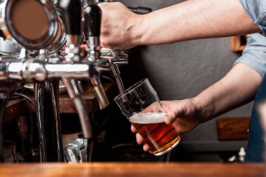 Fıçıdan bira. Barmen fıçıdan bardağa bira doldurur.