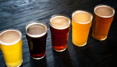 Farklı türde biralar. Bira, koyu, açık ve filtresiz bira ve bira, gözlüklü.