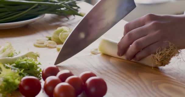 Kvinnlig hand skivning färsk purjolök för grönsakslunch — Stockvideo