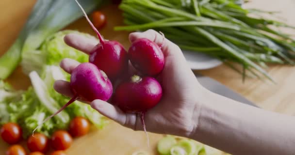 Nő kezében egy csomó friss bio retek a konyhában — Stock videók