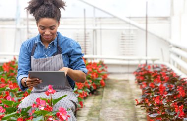 Climate control in greenhouse. Girl works with digital tablet on plantation clipart