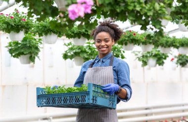Bitkiler ve bahçıvan. Eldiven ve önlüklü gülümseyen Afro-Amerikalı kız tohumlarla dolu bir kutu taşıyor.