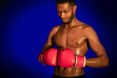 Afrikalı Amerikalı Boksör Boks Eldiveni Giyiyor Stüdyoda Duruyor