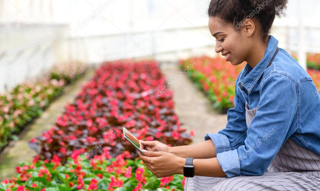 Smiling african american girl in apron and smart watch, takes photos of flower. In interior of greenhouse