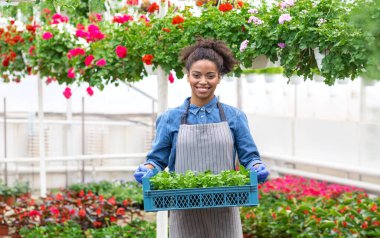 Bahar ve fidanlar. Gülümseyen Afro-Amerikan önlüklü kız çiçekli bir kutu taşıyor.