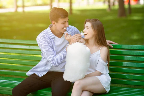 Namorado carinhoso alimentando algodão doce para sua namorada no banco no parque no dia de verão — Fotografia de Stock