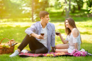 Romantik genç çift parkta yaz pikniğinde kırmızı şarap içiyor.