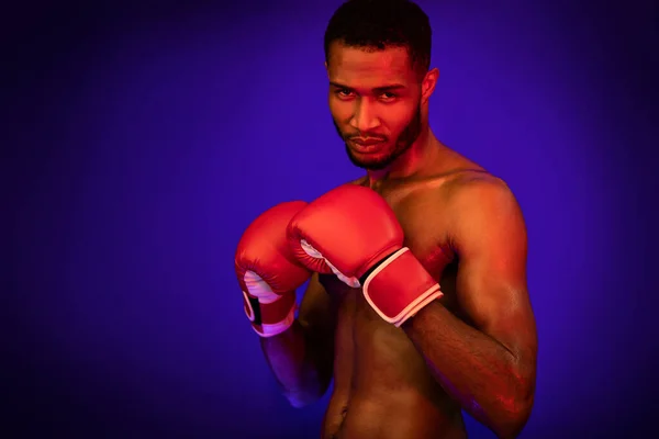 Boxer in Boxhandschuhen posiert auf blauem Studiohintergrund — Stockfoto