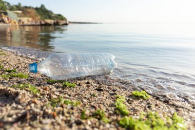 Plastik Şişe Suda Yüzüyor Sahilde, Sahilde Kirlilik Arkaplanı