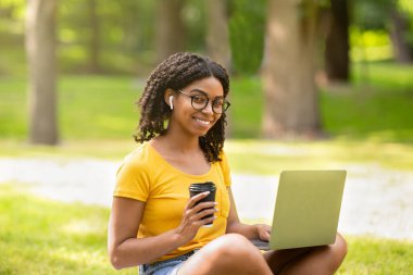 Paket kahve ve dizüstü bilgisayarı olan çalışkan bir kız öğrenci yazın parkta internetten ders çalışıyor.