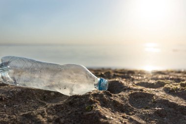 Plastik Şişe Plastik Plastik Plastik Şişe Sahilde, Deniz kenarında, Ekolojik Arkaplan